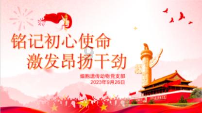 热血NBA万圣节篇