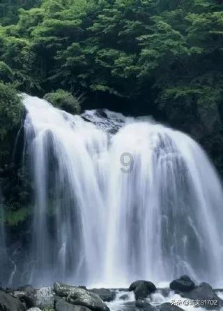 救援呆萌的猫