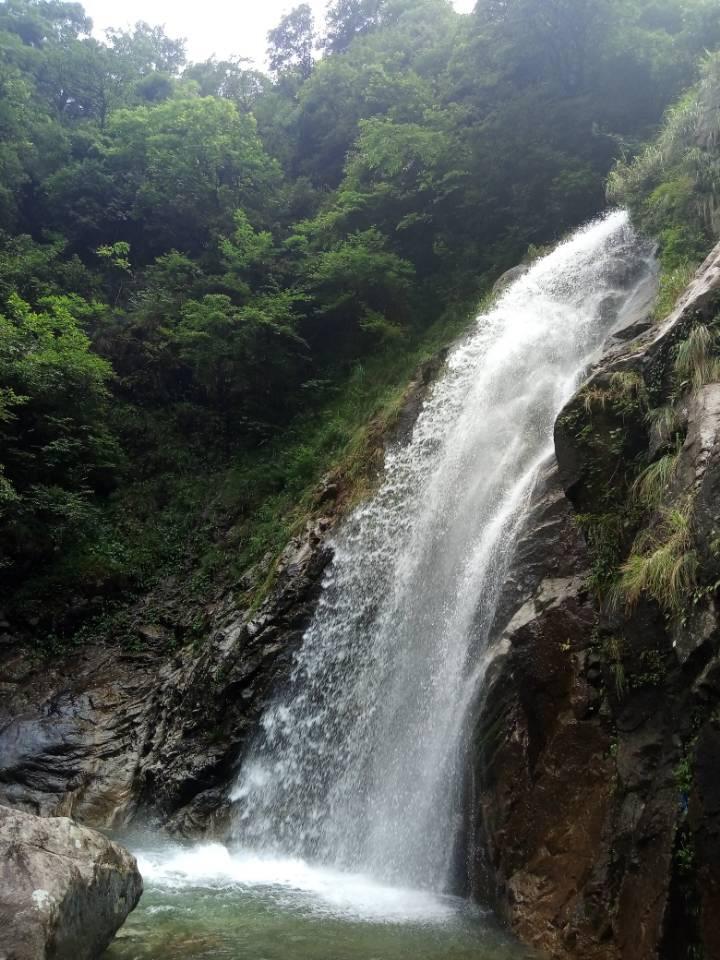 华丽礼帽