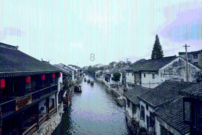 救援受困的长颈鹿